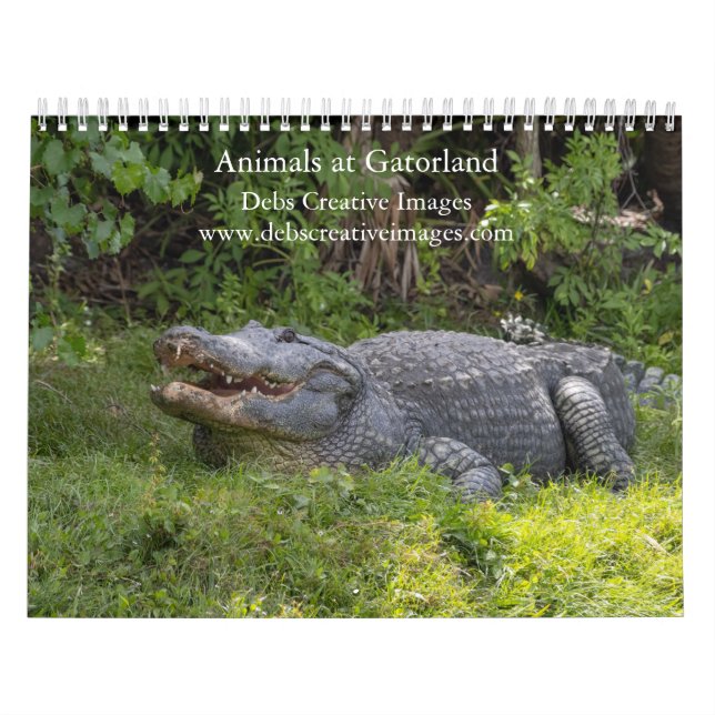 Gatorland Wildlife Adventure 2026 Calendar (Cover)