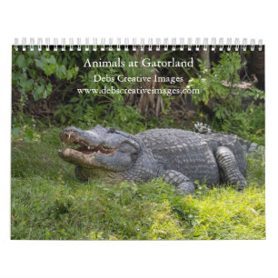 Gatorland Wildlife Adventure 2026 Calendar
