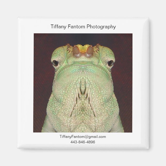 Gatsu Promo Magnet (Front)