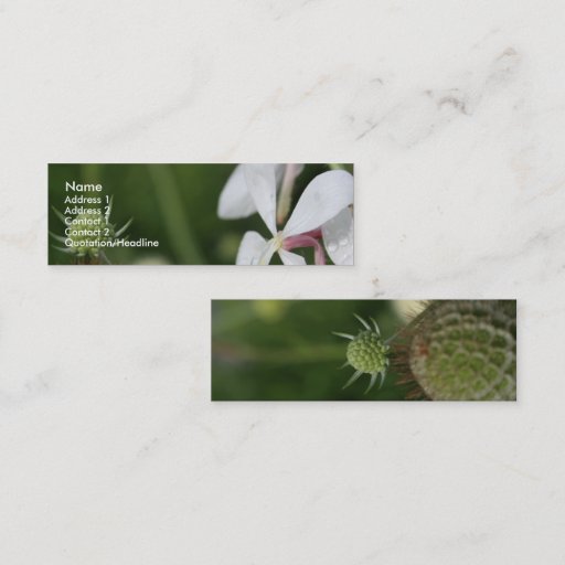 Customizable Gaura Business Card Template