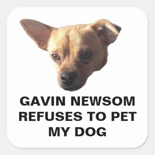 Gavin Newsom Refuses To Pet My Dog Square Sticker