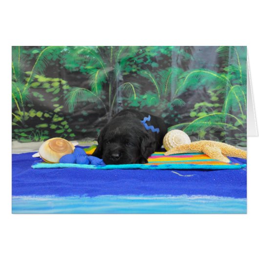 Gavin week 2 (Front Horizontal)