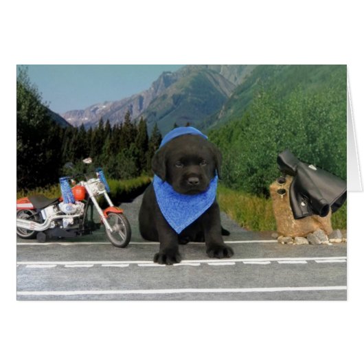 Gavin week 5 (Front Horizontal)