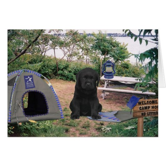 Gavin week 6 (Front Horizontal)