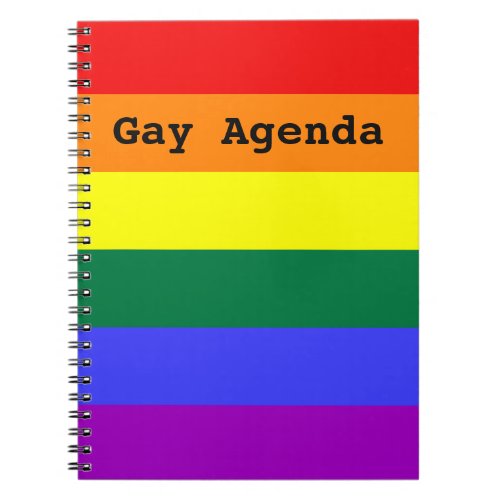 Gay Agenda Rainbow Solid Stripe Notebook