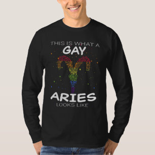 Gay Aries Zodiac Lgbtq Gay Pride Lgbt Pride Appare T-Shirt