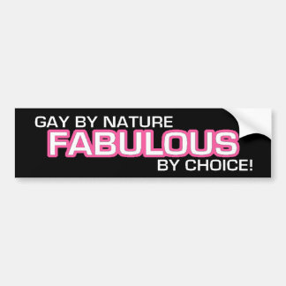porn pics for gay guys anti gay marriage bumper stickers