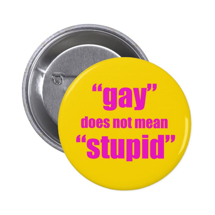 Gay does not mean stupid pin