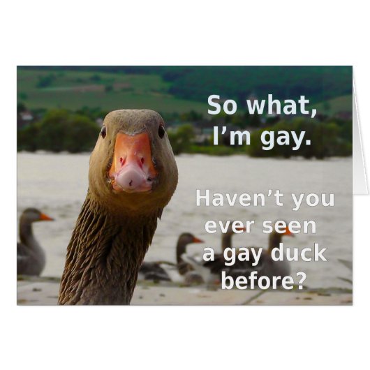 Gay Duck Pride Cards (Front Horizontal)