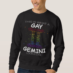 Gay Gemini Zodiac Lgbtq Gay Pride Lgbt Pride Appar Sweatshirt