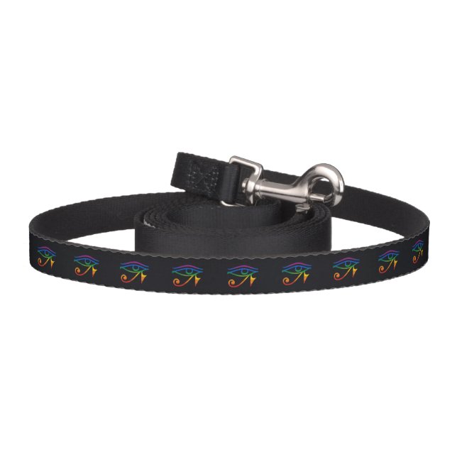 Gay Goth Pride Flag Pet Leash (Hook)