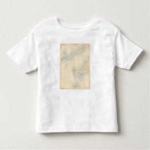 Gay Head, Massachusetts Toddler T-shirt