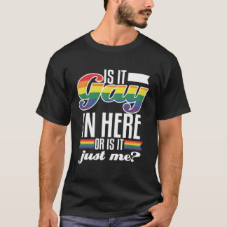 Gay In Here Or Just Funny Me Pride Lgbtq Rainbow F T-Shirt