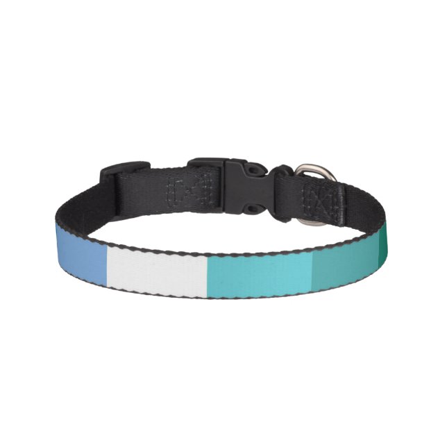 Gay Male Pride Flag Pet Collar (Front)