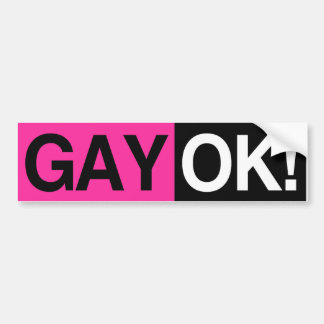 GAY OK BUMPER STICKER