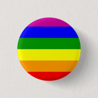 Gay Pride button/flag Button