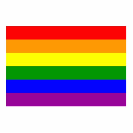 Gay Pride Flag / Rainbow Flag Photo Cut Out | Zazzle
