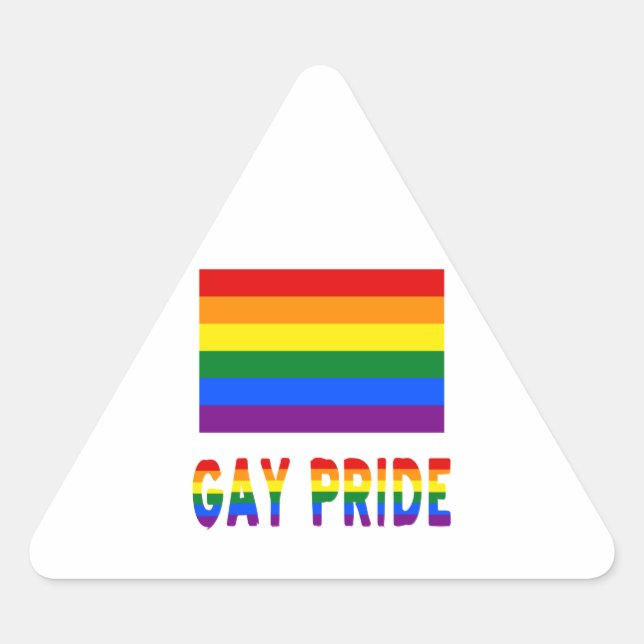 Gay Pride Flag & Words Triangle Sticker (Front)
