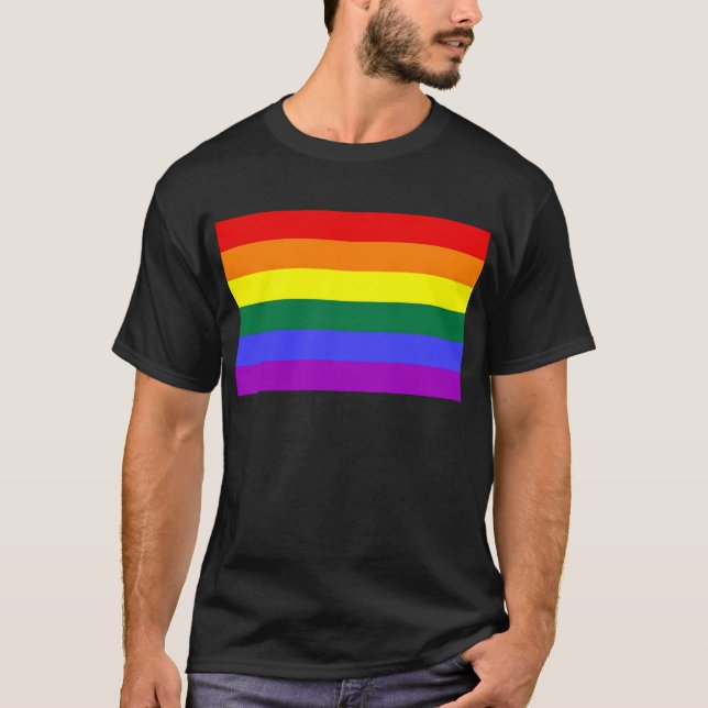 Gay Pride Horizontal Bar Rainbow Flag T-Shirt (Front)