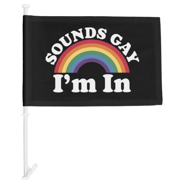 Gay Pride LGBT Rainbow Sounds Gay I'm In  Car Flag (Front)