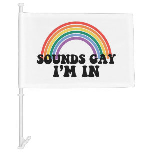 Gay Pride LGBT Rainbow Sounds Gay I'm In  Car Flag