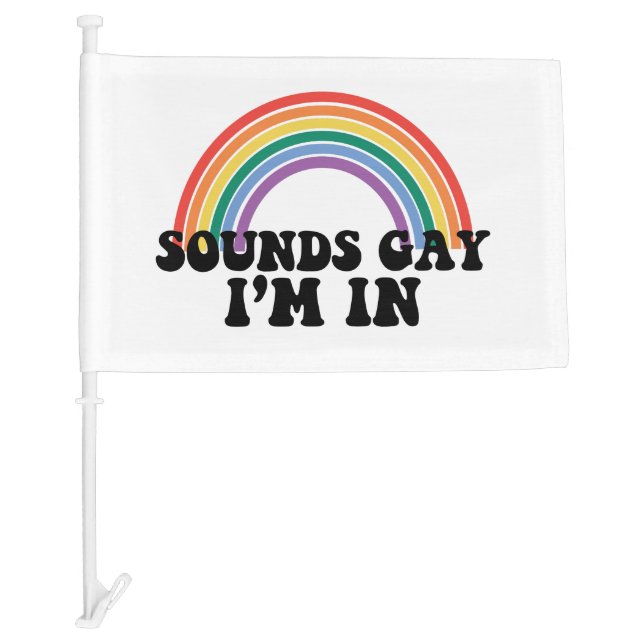 Gay Pride LGBT Rainbow Sounds Gay I'm In  Car Flag (Front)