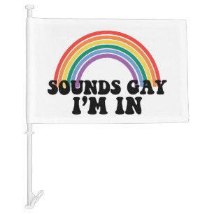Gay Pride LGBT Rainbow Sounds Gay I'm In  Car Flag