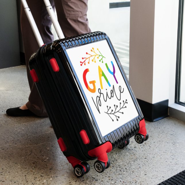 Gay Pride Luggage (Insitu)