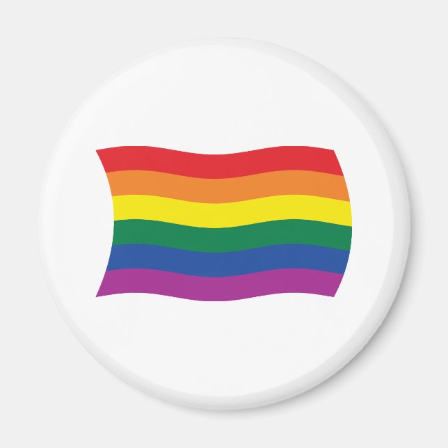 Gay Pride Movement Flag Magnet (Front)