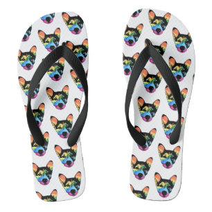 Gay Pride Rainbow Dog Flip Flops