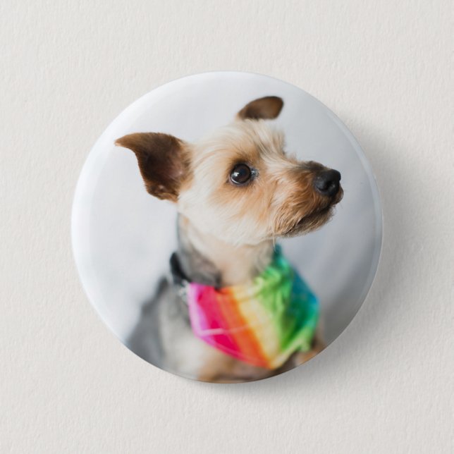Gay Pride Rainbow Dog | Yorkshire Terrier Button (Front)