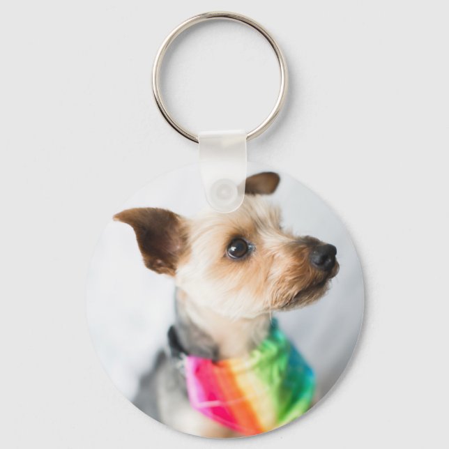 Gay Pride Rainbow Dog | Yorkshire Terrier Keychain (Front)
