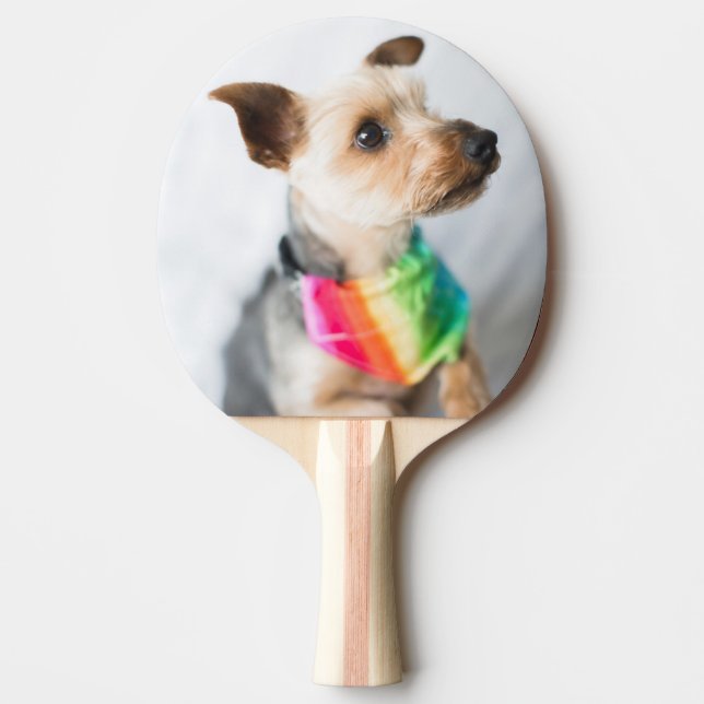 Gay Pride Rainbow Dog | Yorkshire Terrier Ping Pong Paddle (Front)