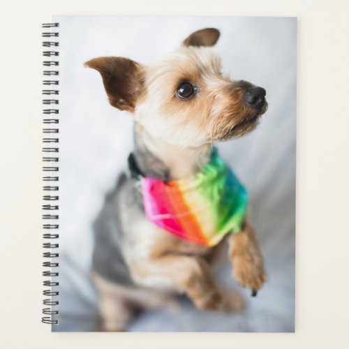 Gay Pride Rainbow Dog  Yorkshire Terrier Planner