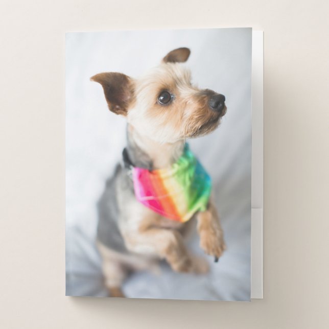 Gay Pride Rainbow Dog | Yorkshire Terrier Pocket Folder (Front)
