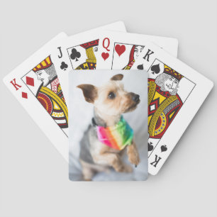 Gay Pride Rainbow Dog   Yorkshire Terrier Poker Cards