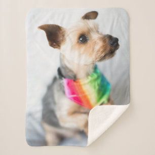 Gay Pride Rainbow Dog   Yorkshire Terrier Sherpa Blanket