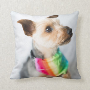 Gay Pride Rainbow Dog   Yorkshire Terrier Throw Pillow