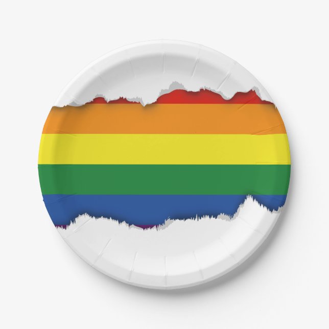 Gay pride Rainbow Flag Paper Plates (Front)