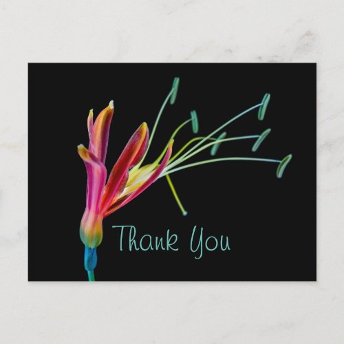 Gay Rainbow colors Floral Thank You Postcard