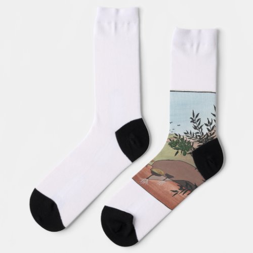 GAZA Peace socks