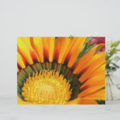 Gazania (Standing Front)