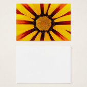 Gazania (Front & Back)