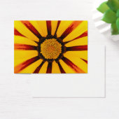 Gazania (Desk)