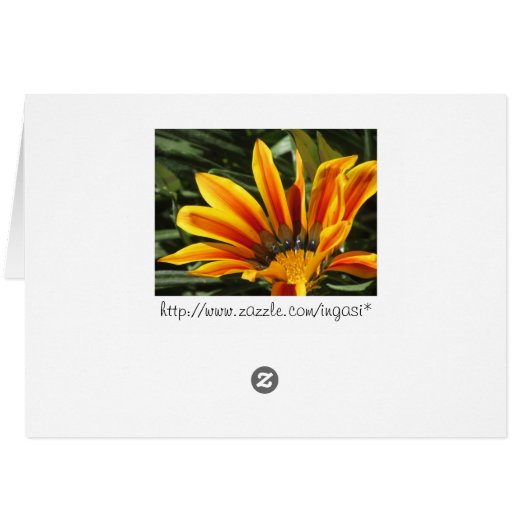 Gazania Bloom (Back Horizontal)
