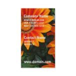 Gazania Business Cards