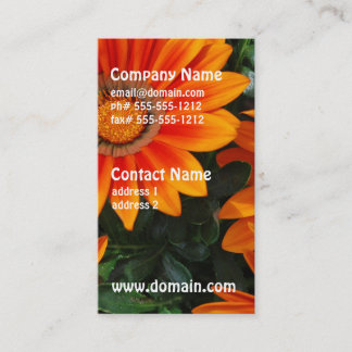 Gazania Business Cards