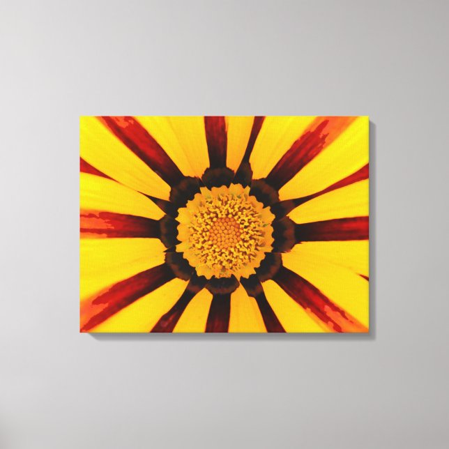 Gazania Canvas Print (Front)