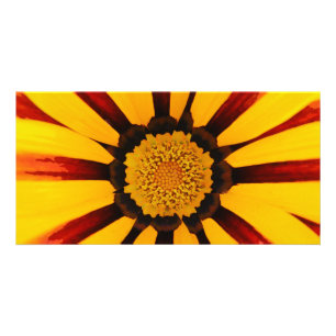 GAZANIA CARD