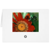 Gazania Cards (Back Horizontal)